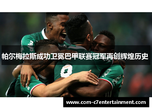 帕尔梅拉斯成功卫冕巴甲联赛冠军再创辉煌历史 